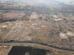 Продам участок 15 соток Рогань, ул.Поэтическая, 44 фото 15 Продам участок 15 соток Рогань, ул.Поэтическая, 44 фото 15