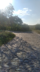 Продам поле рядом с Новой Водолагой. фото 6 Продам поле рядом с Новой Водолагой. фото 6