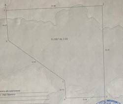 ������ ������� 24 ����� ��������, ��� ������� ���� 6