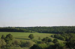 Продается участок Подгорная, Русские Тишки, Харьковский, Харьковская фото 2 Продается участок Подгорная, Русские Тишки, Харьковский, Харьковская фото 2