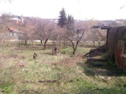 Продам участок 16 соток в поселке Высоком фото 4 Продам участок 16 соток в поселке Высоком фото 4