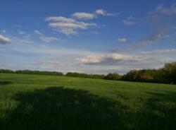 Продам участок 12 соток, Циркуны, Графский фото 2 Продам участок 12 соток, Циркуны, Графский фото 2