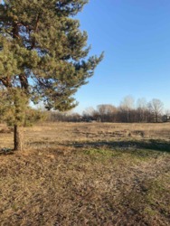 ������ �������� ������� 10 ���. �� ����������� 3 ���, ���, ����, ����� ����� �����, ������� ��������� ���� 1