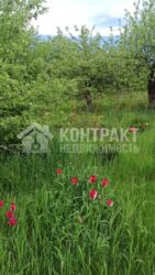 ������ �������,����, ��. ����� 65, �� �������� ���� 1