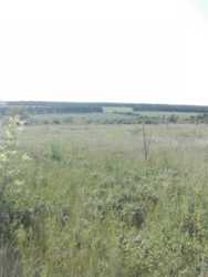 Продам участок Б.Даниловка 10 соток фото 1 Продам участок Б.Даниловка 10 соток фото 1