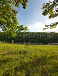 Продам участок 12 соток возле речки Циркуны фото 1 Продам участок 12 соток возле речки Циркуны фото 1