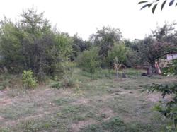 �������. 6����� .���������� ����� ��� ���������. ����� ����. ���� ����������� �������� ���. ���� �������� ���� 4