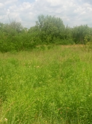 ������ ���.������� ��� ��������� ������ ���� ���� 5