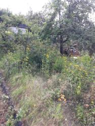 �������. 6����� .���������� ����� ��� ���������. ����� ����. ���� ����������� �������� ���. ���� �������� ���� 5