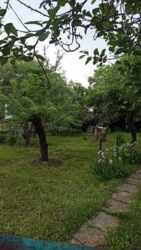 ������ ������� �� ��������� ����� 65,����� ������ ���� 5