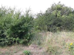 �������. 6����� .���������� ����� ��� ���������. ����� ����. ���� ����������� �������� ���. ���� �������� ���� 2