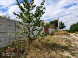 ��������� ������� �������, �����������, �������� ���� 5