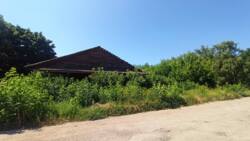 ������ ������� 24 ����� ��������, ��� ������� ���� 1