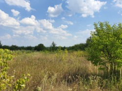 СРОЧНО продам участок в заповедной зоне, в Берминводах! фото 5 СРОЧНО продам участок в заповедной зоне, в Берминводах! фото 5