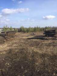 А2 Продам участок под жилое строительство Соколово, дешево. фото 4 А2 Продам участок под жилое строительство Соколово, дешево. фото 4