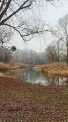 Продам участок 2 га, Чугуев фото 5 Продам участок 2 га, Чугуев фото 5