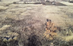 Продам участок 15 соток Рогань, ул.Поэтическая, 44 фото 17 Продам участок 15 соток Рогань, ул.Поэтическая, 44 фото 17