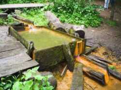 26116478А2продам отличный участок село Мохнач Змиевского района. фото 3 26116478А2продам отличный участок село Мохнач Змиевского района. фото 3