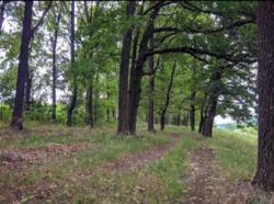 Продам участок в поселке Циркуны фото 1 Продам участок в поселке Циркуны фото 1