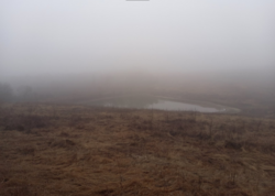 Продаётся элитный участок у края леса с выходом к пруду!!!! фото 6 Продаётся элитный участок у края леса с выходом к пруду!!!! фото 6