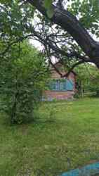 ������ ������� �� ��������� ����� 65,����� ������ ���� 2