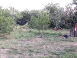 �������. 6����� .���������� ����� ��� ���������. ����� ����. ���� ����������� �������� ���. ���� �������� ���� 3