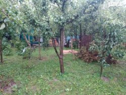 Продається ділянка Петрик, Литинський, Вінницька фото 16 Продається ділянка Петрик, Литинський, Вінницька фото 16