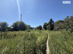 ��������� ������ ³������ ������, ³��������, ³������� ���� 4