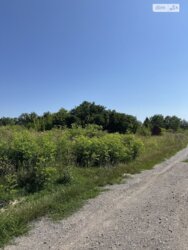 ��������� ������ ��������, ³��������, ³������� ���� 3