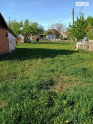 ��������� ������ ³�����, ³�������, ���� �������� ���� 7