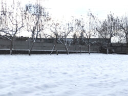 ��������� ������ ³�����, ³�������, �������� ���� 1