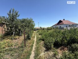 ��������� ������ ³������ ������, ³��������, ³������� ���� 14