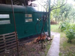 Продається ділянка Петрик, Литинський, Вінницька фото 4 Продається ділянка Петрик, Литинський, Вінницька фото 4