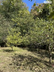 Продається ділянка Вінниця, Вінницька, П’ятничани фото 13 Продається ділянка Вінниця, Вінницька, П’ятничани фото 13