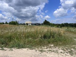 ��������� ������ ³�����, ³�������, ����� ���� ���� 6