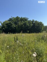 ��������� ������ ��������, ³��������, ³������� ���� 4