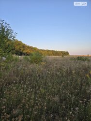 Продається ділянка Вінниця, Вінницька, Барське шосе фото 3 Продається ділянка Вінниця, Вінницька, Барське шосе фото 3