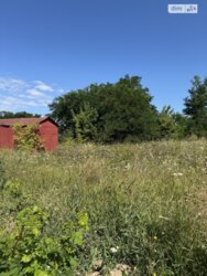 ��������� ������ ��������, ³��������, ³������� ���� 7