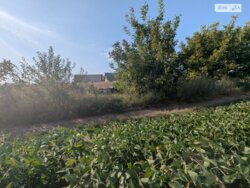 ��������� ������ ³�����, ³�������, ������ ���� 1