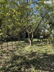 Продається ділянка Вінниця, Вінницька, П’ятничани фото 5 Продається ділянка Вінниця, Вінницька, П’ятничани фото 5