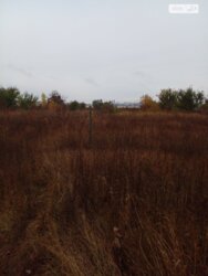 ��������� ������ ³�����, ³�������, ������ ���� 1