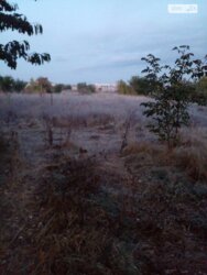 ��������� ������ ³�����, ³�������, ������ ���� 5