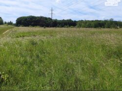 Продається ділянка Вінниця, Вінницька, Старе місто фото 4 Продається ділянка Вінниця, Вінницька, Старе місто фото 4