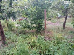 Продається ділянка Петрик, Литинський, Вінницька фото 17 Продається ділянка Петрик, Литинський, Вінницька фото 17