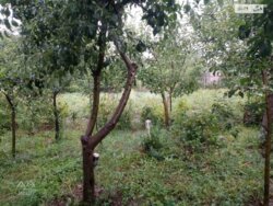 Продається ділянка Петрик, Литинський, Вінницька фото 15 Продається ділянка Петрик, Литинський, Вінницька фото 15