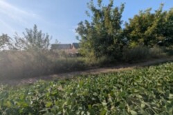 ��������� ������ ³�����, ³�������, ������ ���� 5