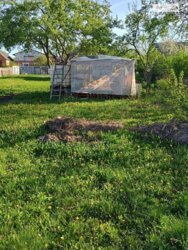 ��������� ������ ³�����, ³�������, ���� �������� ���� 12