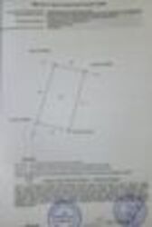 ��������� ������ ³�����, ³�������, ������ ���� 8