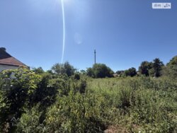 ��������� ������ ³������ ������, ³��������, ³������� ���� 2