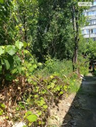 ��������� ������ ³�����, ³�������, ����`���� ���� 7